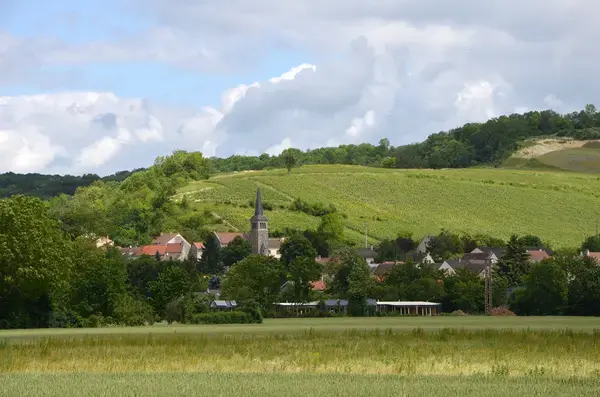 Monte Escalier 02 Installateur monte escalier Brasles