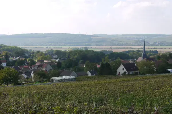 Monte Escalier 02 Installateur monte escalier Nesles-la-Montagne